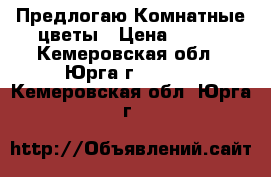 Предлогаю Комнатные цветы › Цена ­ 300 - Кемеровская обл., Юрга г.  »    . Кемеровская обл.,Юрга г.